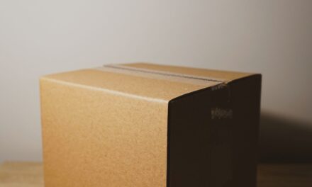WHAT IF THE BIG DUMB BOX REALLY IS JUST A BIG DUMB BOX?